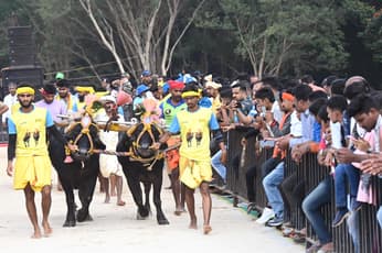 वीडियो में देखिए बेंगलूरु में आयोजित भैंसों की दौड़ का रोमांच