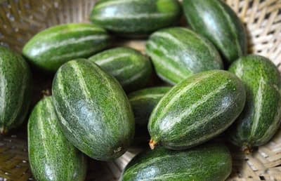 Eat Pointed-Gourd in summer to boost immunity