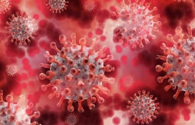 New Coronavirus variant and Double Mutant in India