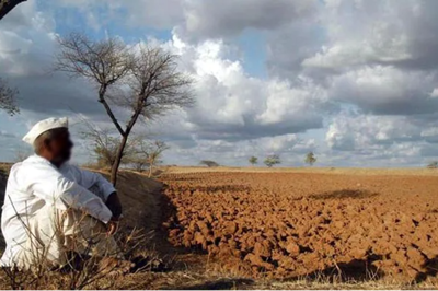 Maharashtra Farmers Suicide news