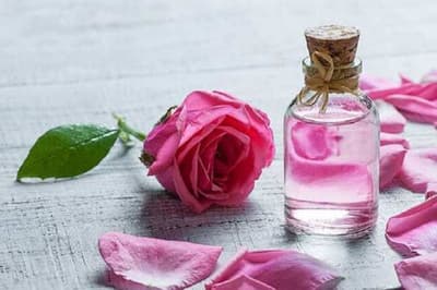 Rose Water Benefits: गुलाब जल में छिपे हैं कई अनगिनत राज, स्किन को खुबसूरत और चमकदार बनाने में करता है मददRose Water Benefits: गुलाब जल में छिपे हैं कई अनगिनत राज, स्किन को खुबसूरत और चमकदार बनाने में करता है मददRose Water Benefits: गुलाब जल में छिपे हैं कई अनगिनत राज, स्किन को खुबसूरत और चमकदार बनाने में करता है मदद