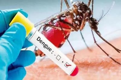 लखनऊ में डेंगू के 12 नए मामले, 70 अन्य संदिग्ध की रिपोर्ट का इंतजार