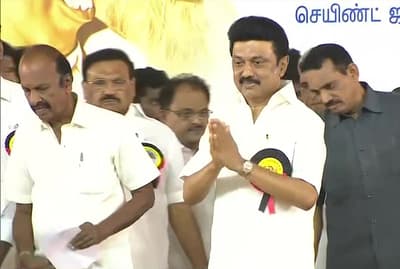 DMK General Council Meeting: Tamil Nadu CM MK Stalin Elected Party President For Second Time