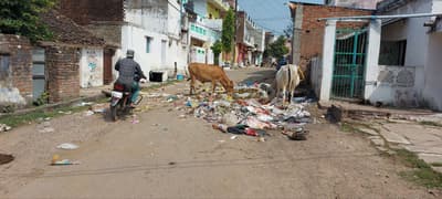 such a ward whose main road becomes the garbage house