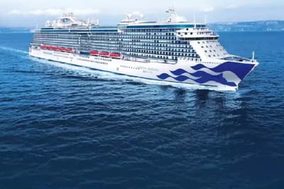 Australian cruise ship docks in Sydney as 800 passengers on board test Covid positive