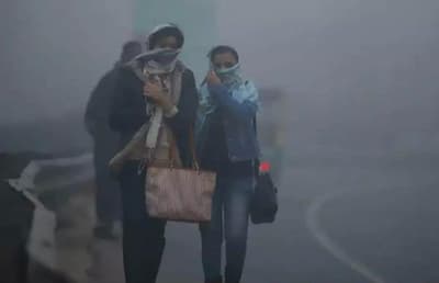 Delhi Weather: दिल्ली में चलेगी शीतलहर, छाएगा घना कोहरा, जानिए मौसम विभाग ने क्या दी वॉर्निंग?