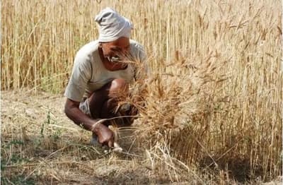 राजस्थान में बीमा कम्पनी की मनमर्जी ने रोके अन्नदाताओं के 25 करोड़ रुपए