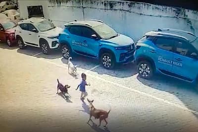 hyderabad_dog_attack_case.jpg