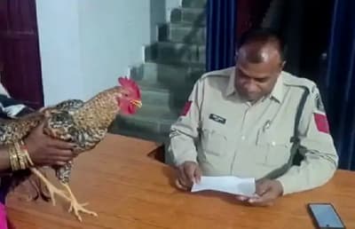 महिला ने पडोसी के खिलाफ की मुर्गा चोरी की शिकायत 
