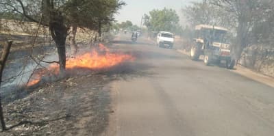 खेत की नरवाई में लगी आग सड़क तक पहुंची, यातायात प्रभावित