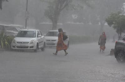 Fifth Western Disturbance Active In Rajasthan Storm And Rain For Next Five Days