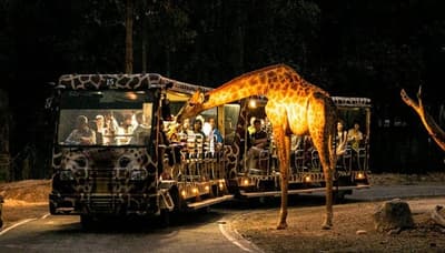 Country first night safari built in Lucknow on lines of Singapore
