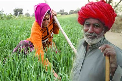 Rajasthan Farmers to get gov schemes through Raj Kisan Suvidha App