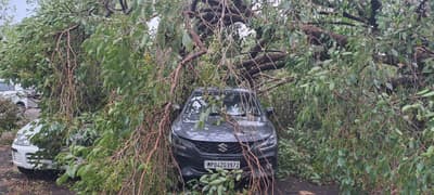 The storm caused havoc, trees were broken at many places, damage to houses and cars