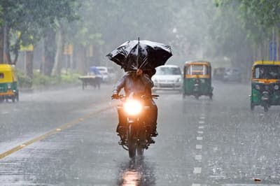 pre-monsoon-season-in-rajas_1.jpg