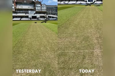wtc-final-2023-match-condition-of-oval-pitch-was-changed-dinesh-karthik-showed-photos.jpg