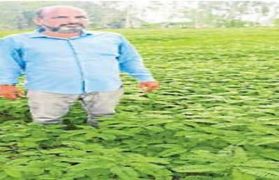 farmar earned thousands of rupees from grass farming in cg
