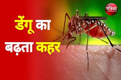 Dengue Case In Moradabad: मुरादाबाद में डेंगू का कहर, अब तक 33 मरीज मिले