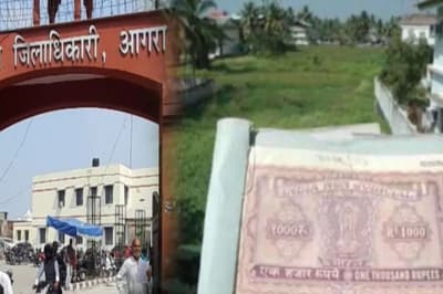 Termites chewed up stamps worth Rs 90 lakh big loss to revenue department