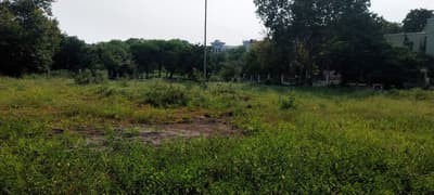 लाखों रुपए से बनाया गया पार्क बदहाल, कॉलोनी के मुख्य गेट पर कचरे का ढेर