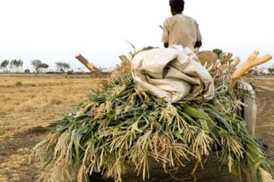 Farmer commits suicide in Jhansi