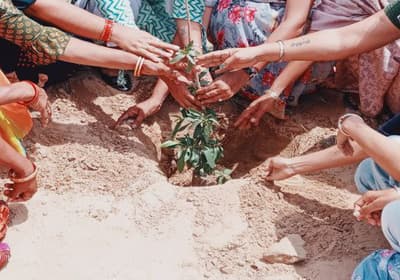 राजस्थान के इस जिले में मतदान के साथ होगा पौधरोपण