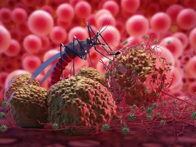 विश्व स्वास्थ्य संगठन की हालिया प्रकाशित मलेरिया रिपोर्ट के अनुसार पिछले वर्ष 2022 में मलेरिया के सबसे अधिक मामलों और मौतों के मामले में भारत दक्षिण-पूर्व एशिया क्षेत्र के देशों में शीर्ष पर है