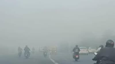 fog_in_rajasthan.jpg