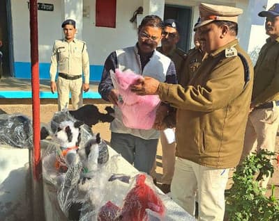 Collector reached district jail, gave instructions to keep the quality of grains better
