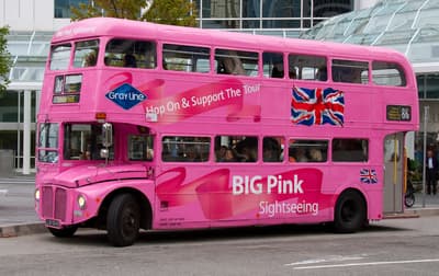 pink_bus.jpg