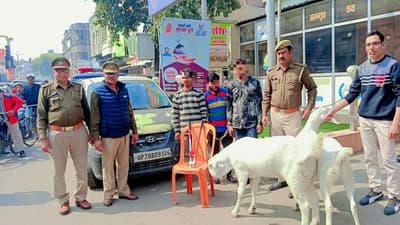 बकरा चोरों को पुलिस ने किया गिरफ्तार